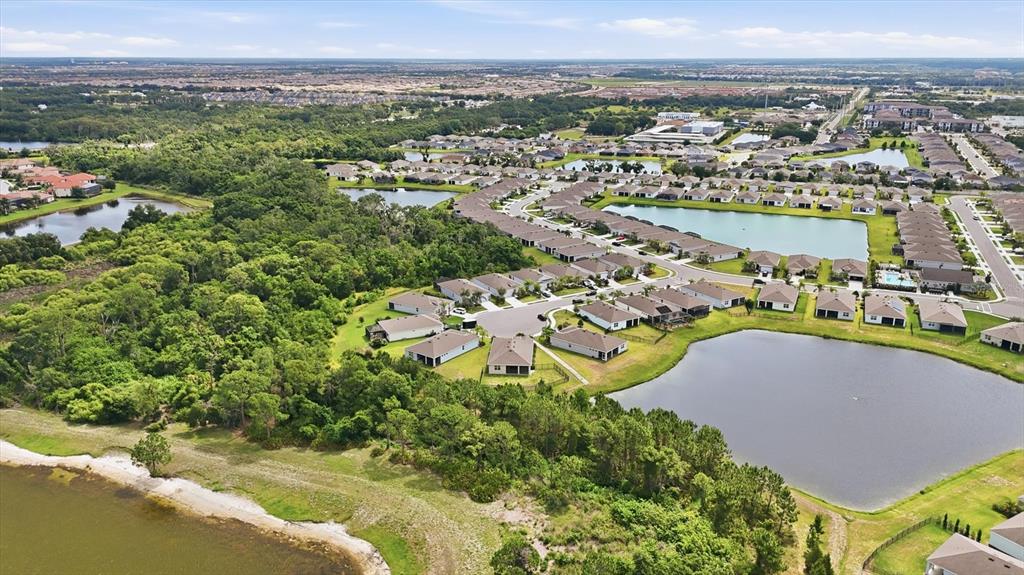 Aerial view of Lakewood Ranch homes and a lake